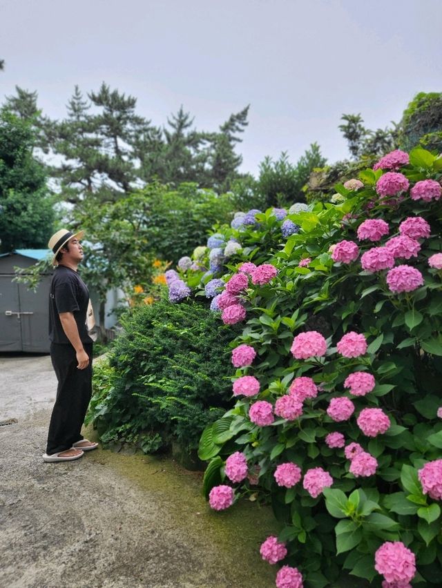 소원을 들어주는 돌이 있는 수국 사찰