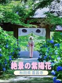 一生に一度は訪れたい💙世界の絶景💙あじさいの雲昌寺☺️💠✨