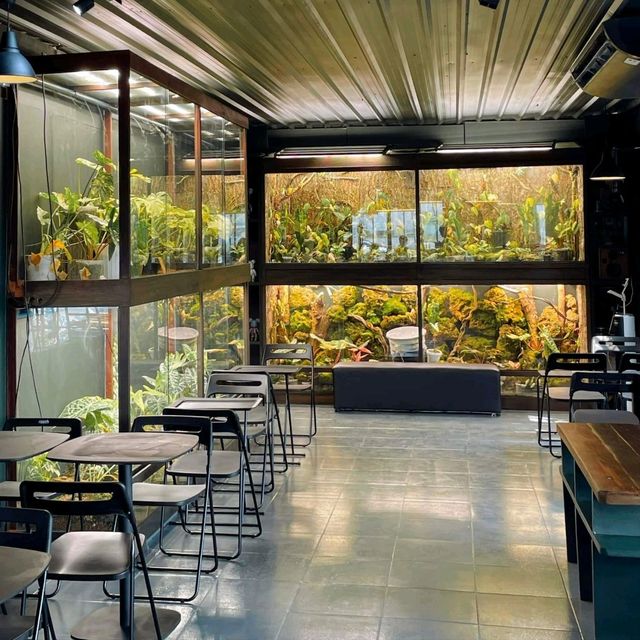 cafe