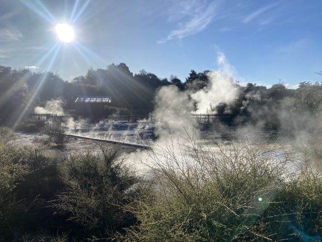 【NZ】ニュージーランド ロトルア旅
