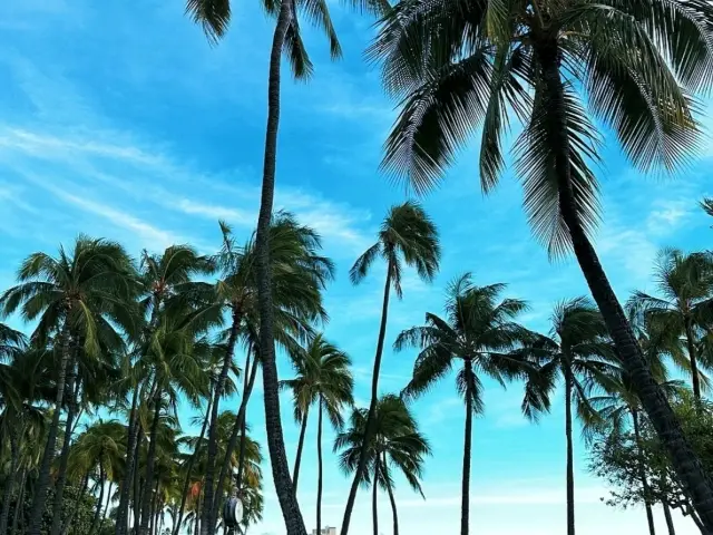 🌴 Stay at Ohana Waikiki East