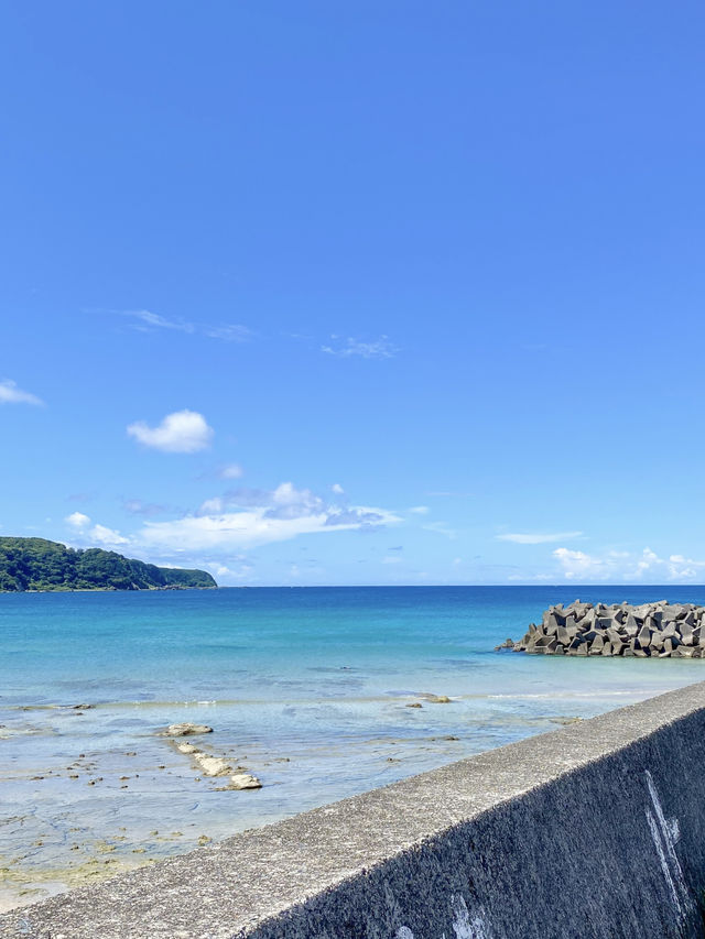 【和歌山】串本で夢中になったシュノーケリング体験🏝️✨