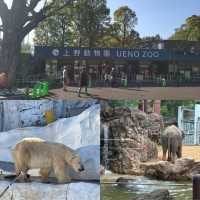 「東京上野動物園：古老動物園，適合家庭遊覽和學校教育」