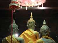 งานวิจิตร 5 ภาค ชลบุรี