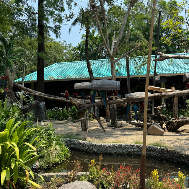 **標題：曼谷Safari World動物園遊玩全攻略**