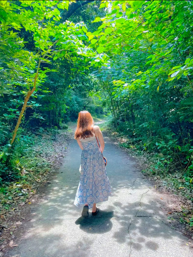 東京から2時間で行ける無人島🏝✨癒しの南国リゾート沖ノ島😎🌺【千葉】