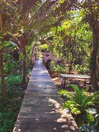 คาเฟ่บรรยากาศดี พร้อมที่พัก @อัมพวา 