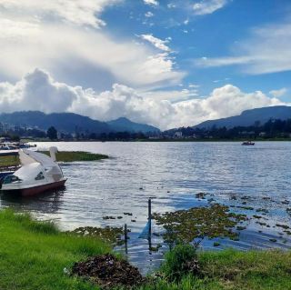 Reflections on Gregory Lake: Nuwara Eliya's Serene Gem