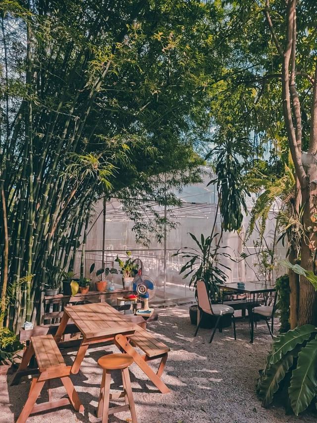 คาเฟ่ธรรมชาติ นั่งสบาย@ราชบุรี