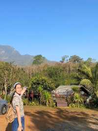 🏕️ เวียงปันดาว