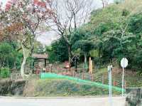 【香港沙田】彎曲山：壯觀山景，交通方便