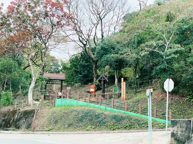 【香港沙田】彎曲山：壯觀山景，交通方便