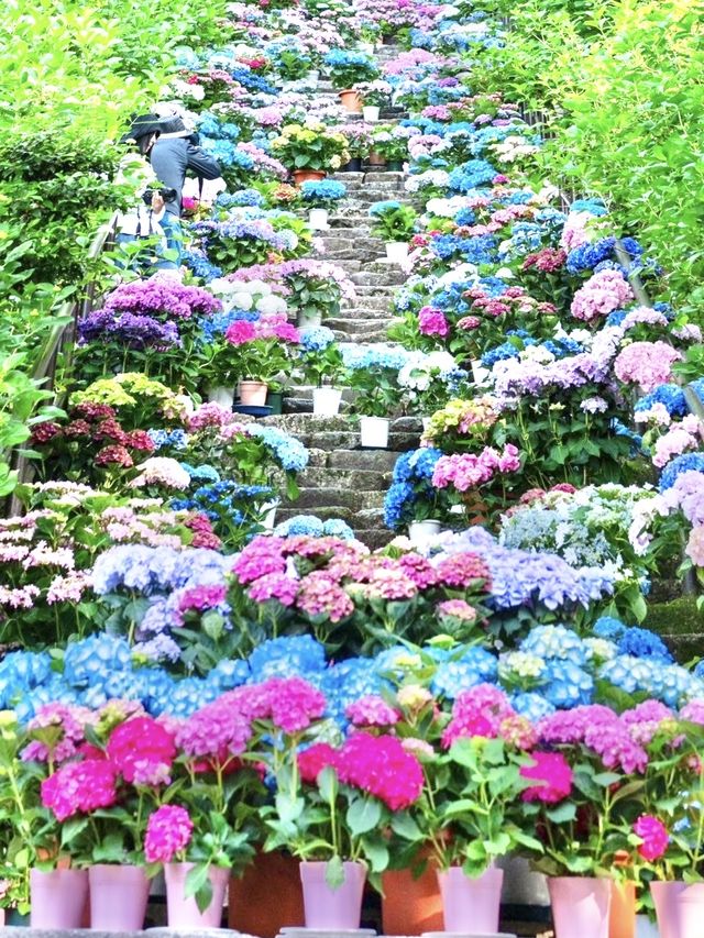 〜奈良県〜長谷寺