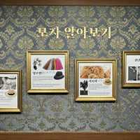 100년 역사 목포 모자 아트 갤러리 갑자옥모자점