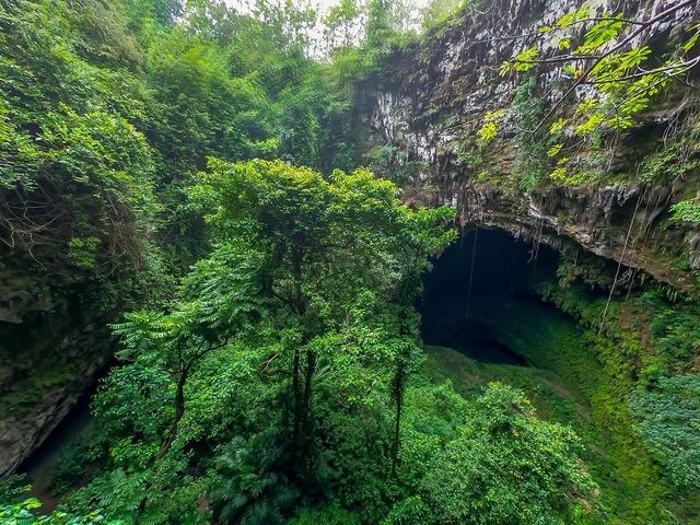 Jomblang Cave
