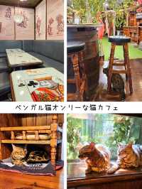 【大分】フォトジェニック「湯布院 フローラルヴィレッジ」