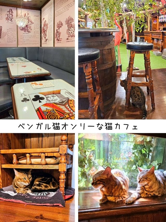 【大分】フォトジェニック「湯布院 フローラルヴィレッジ」