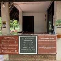 Divine Encounter: The Sacred Buddha Head Entwined in Banyan Roots