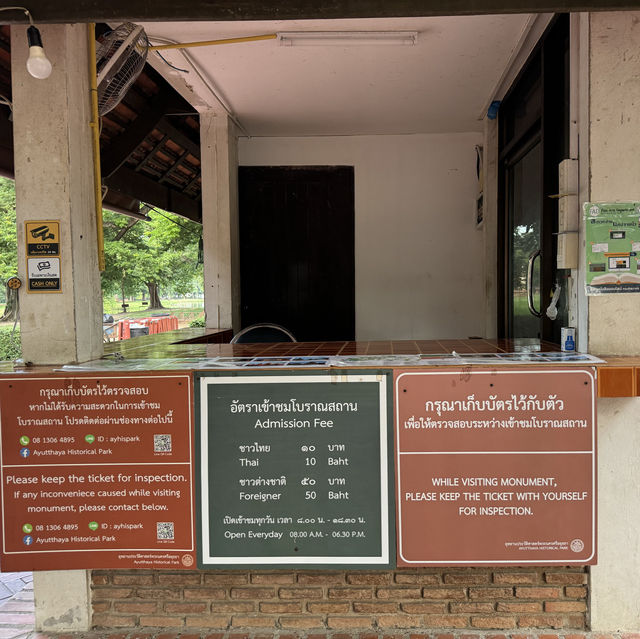 Divine Encounter: The Sacred Buddha Head Entwined in Banyan Roots