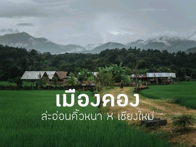 เมืองคอง จ.เชียงใหม่