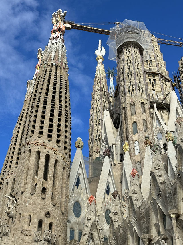 スペイン旅行【バルセロナ🇪🇸圧巻のサグラダファミリア 】