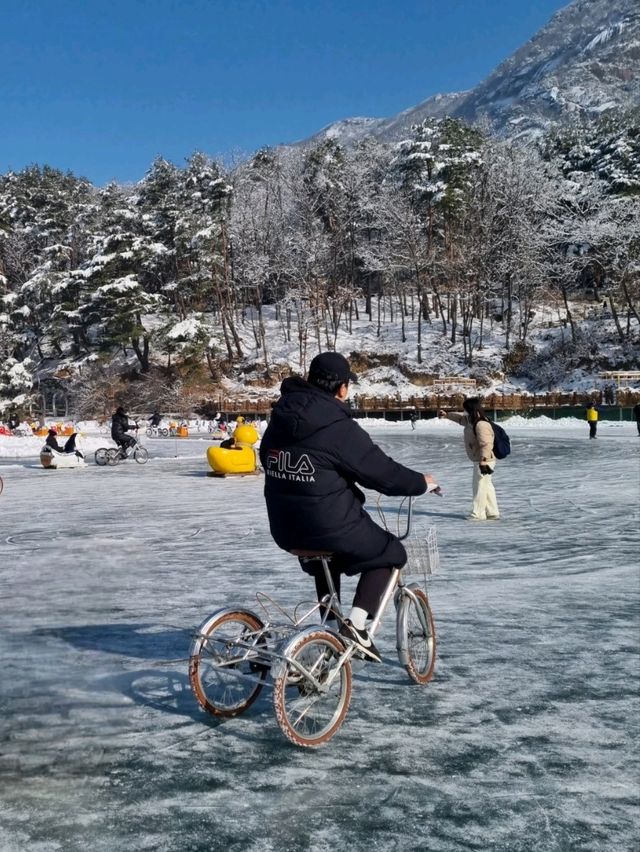겨울이 기다려지는 이유