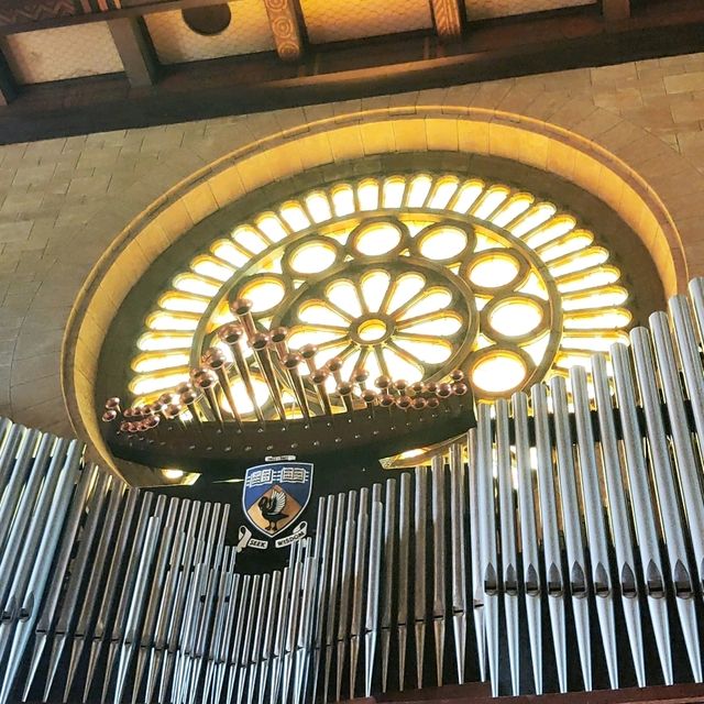 Exploring the Urban Oasis: A Trip to UWA Perth