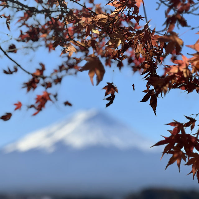 Kawaguchiko sight seeing