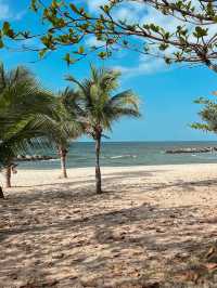 SALT Beach Hotel Rayong 🐚 ที่พักริมน้ำสุดมินิมอล 