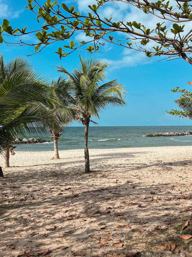 SALT Beach Hotel Rayong 🐚 ที่พักริมน้ำสุดมินิมอล 