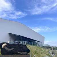 鶴岡駅からバスで40分！『加茂水族館』でクラゲを見る🪼