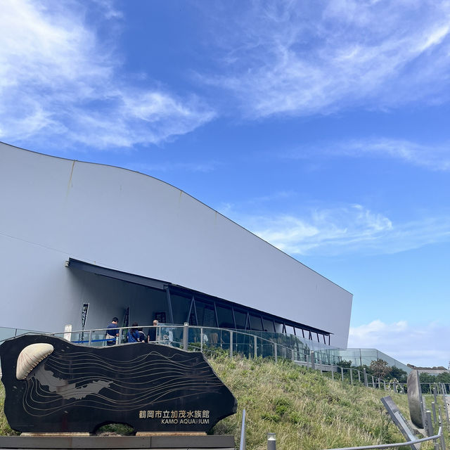鶴岡駅からバスで40分！『加茂水族館』でクラゲを見る🪼