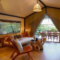 🏕️ที่พักเขาใหญ่แกลมปิ้งสุดไพรเวท Te Mata Glamping