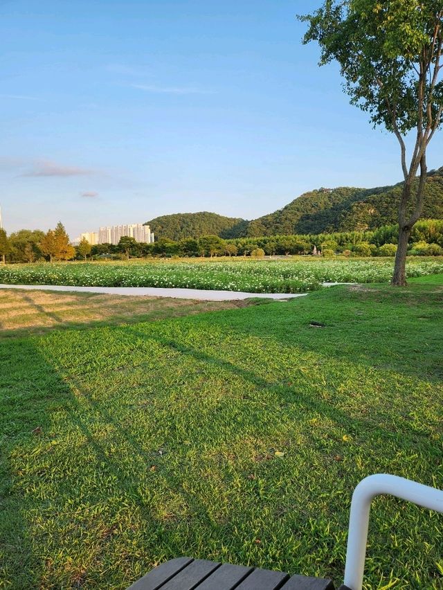 평화로운 야외데이트장소 태화강국가정원❤️