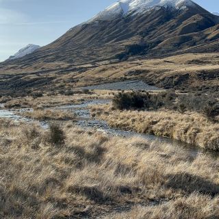 Easy short hike in New Zealand South Island