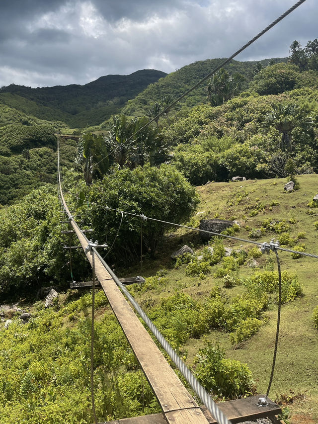 The scariest bridge I’ve ever crossed 🫣