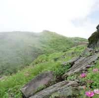ภูทับเบิกสวนสวรรค์