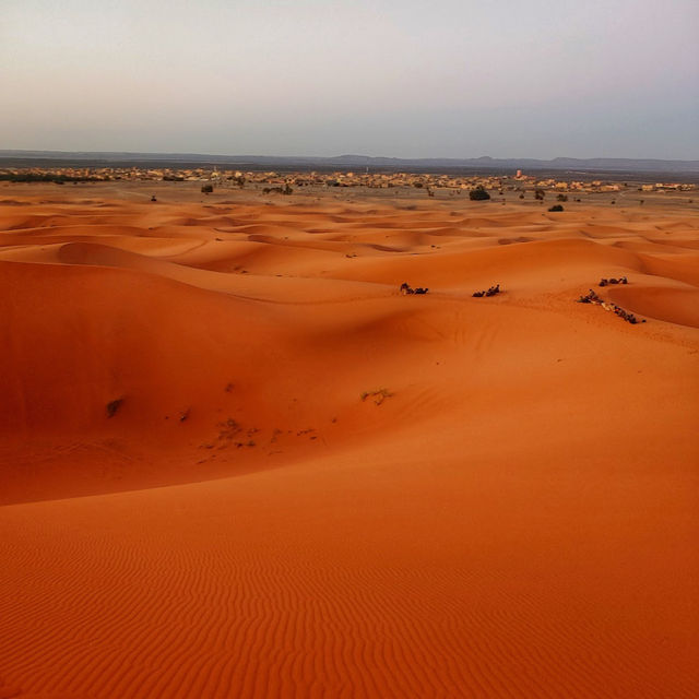 A Night Under the Stars in Morocco’s Majestic Sahara Desert