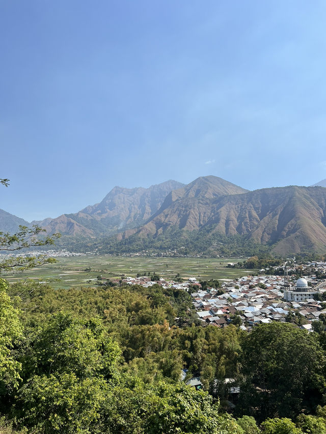 Guide to Hiking Bukit Selong in Sembalun, Lombok ⛰️🇮🇩