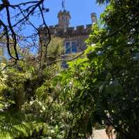 Larnach Castle: History and Elegance