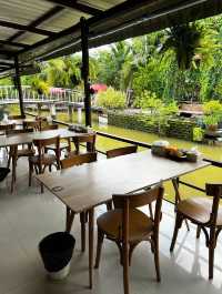☕️ Hansa cafe food garden