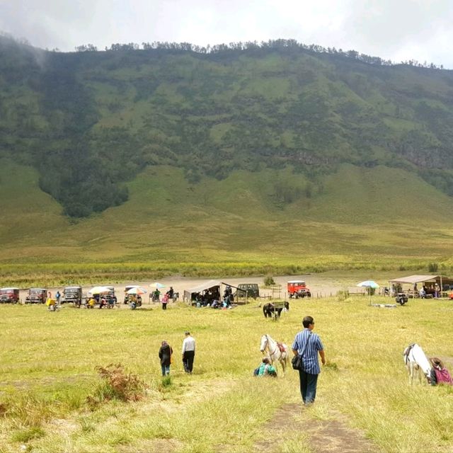 GRASSLANDS OF SAVANNAH HILLS 