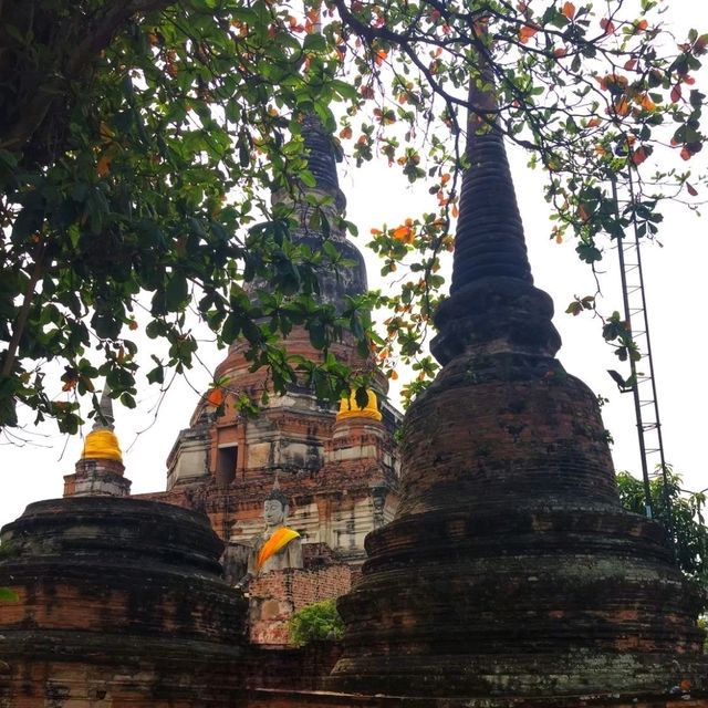 เที่ยวเมืองเก่าแบบไม่เก่าเลย