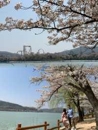 A Romantic Spring Escape: The Perfect Couple's Travel Experience in Gyeongju