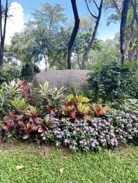 Greenery Shenzhen Zhongshan Park 