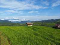 บ้านพักแฮเก นาขั้นบันไดป่าบงเปียง