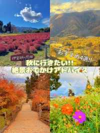 【秋を攻略】おすすめスポットをご紹介🍁