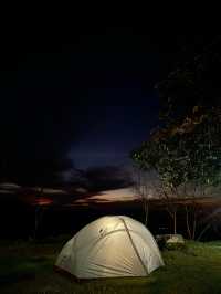 แคมป์ภูชี้ฟ้า | จ.เชียงราย ⛺️🌳☀️💫