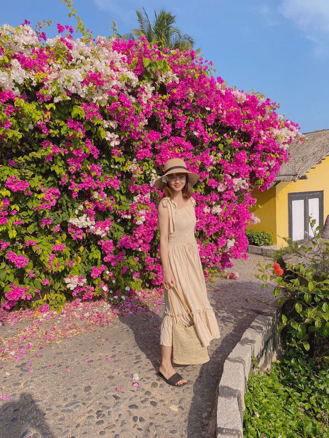 Coastal Charm: Victoria Phan Thiet