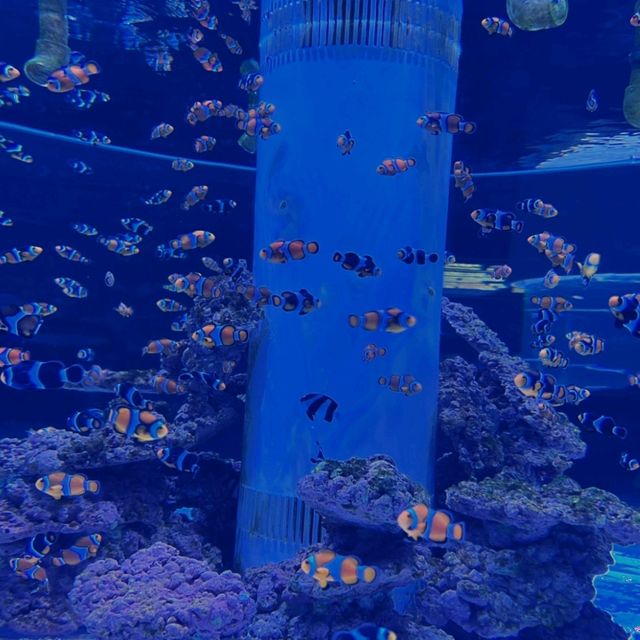 潮境智能海洋館：科技與海洋的完美融合